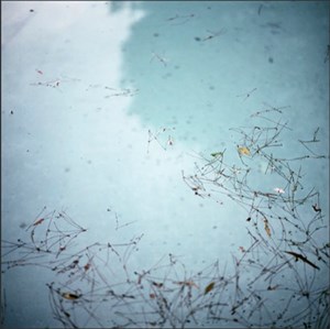 Image description is not available for 2010.036